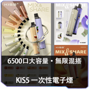 [C倉庫]   KIS5鎧斯6500口拋棄式