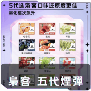 【買五送主機】[B,C倉庫]   XIAOKE梟客5代煙彈
