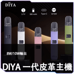 [B倉庫] DIYA叮啞皮革主機