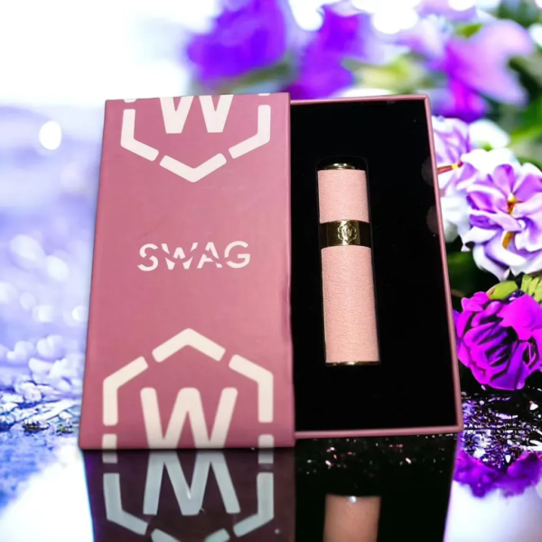 SWAG一代皮革主機<br>[D倉庫]：圖片 3