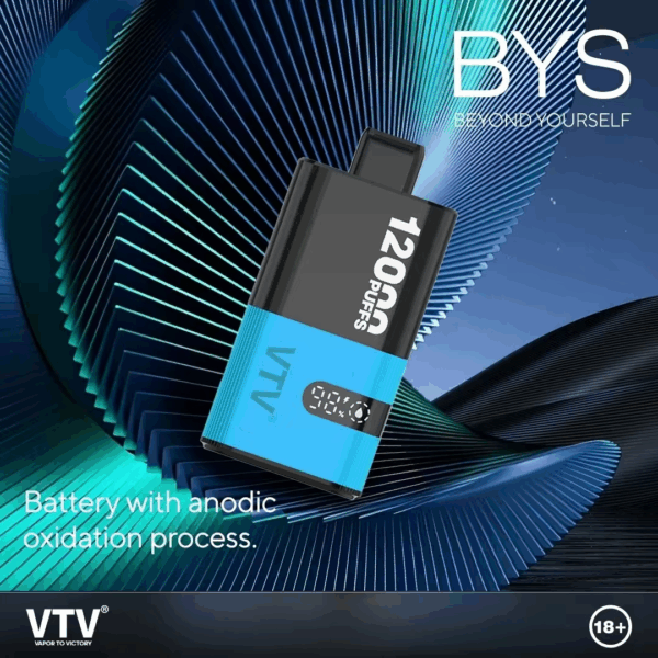 VTV維特威 BYS主機<br>[D倉庫]：圖片 5